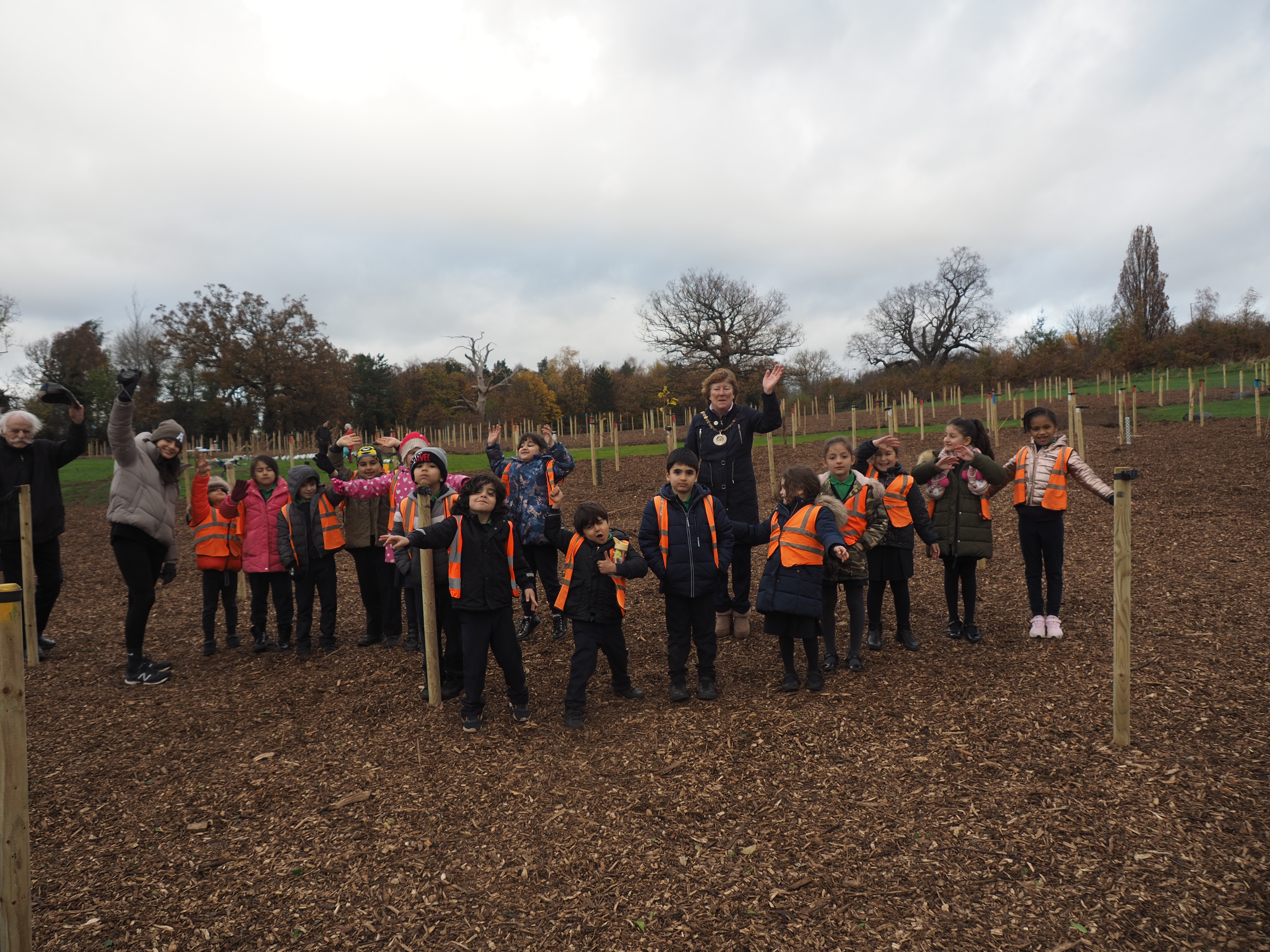 Photo of tree planting